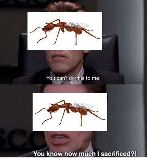 You can't do this to me. SCO You know how much I sacrificed?!
