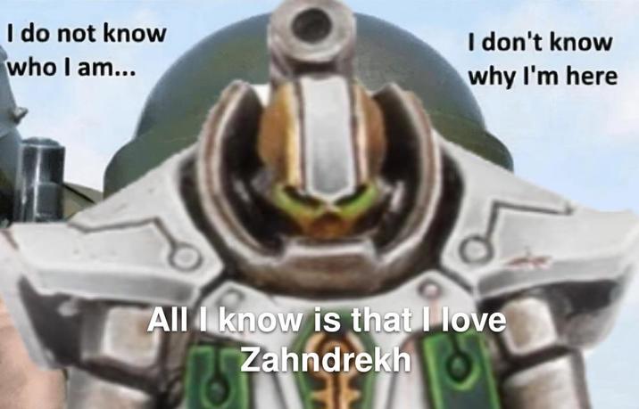 I do not know who I am... I don't know why I'm here All I know is that I love Zahndrekh