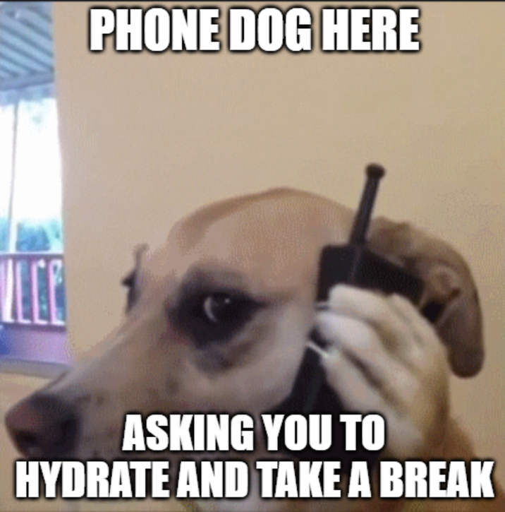 PHONE DOG HERE ASKING YOU TO HYDRATE AND TAKE A BREAK