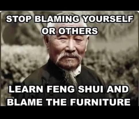 STOP BLAMING YOURSELF OR OTHERS LEARN FENG SHUI AND BLAME THE FURNITURE