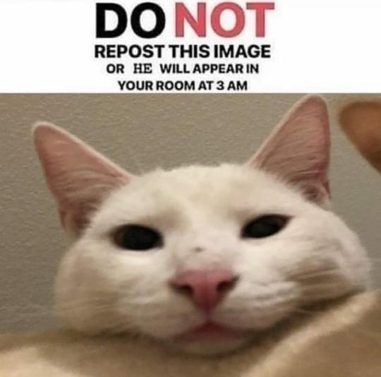 DO NOT REPOST THIS IMAGE OR HE WILL APPEAR IN YOUR ROOM AT 3 AM