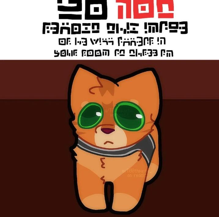 EBJW; 37″-10 OZOYE) OFWARE! SOLIF FOOM (2 21,633 PM u/Techpaste of eddit u/100thpas on reddi