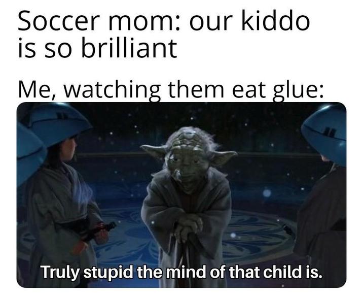 Soccer mom: our kiddo is so brilliant Me, watching them eat glue: Truly stupid the mind of that child is.