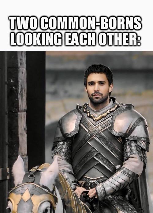 TWO COMMON-BORNS LOOKING EACH OTHER: