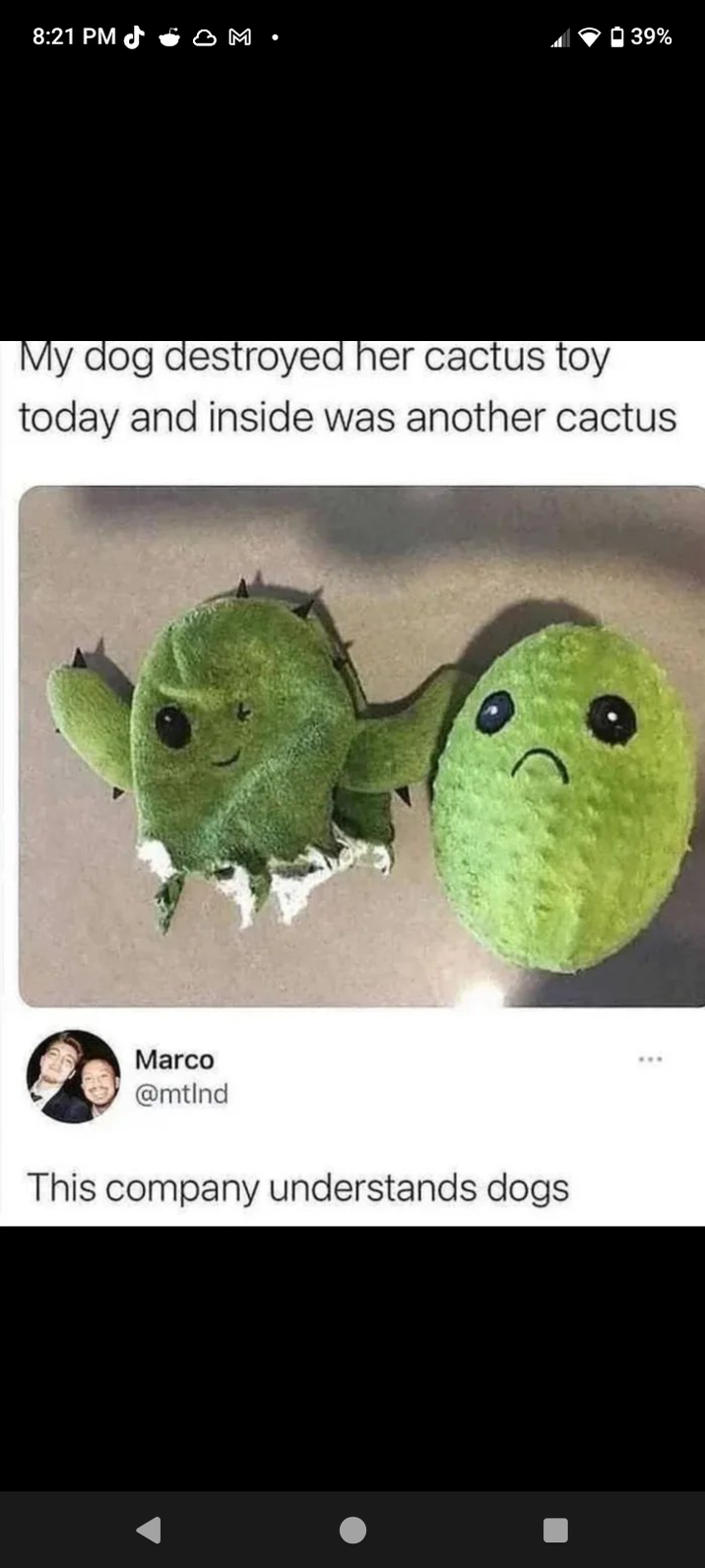 8:21 PM 39% My dog destroyed her cactus toy today and inside was another cactus Marco @mtind This company understands dogs