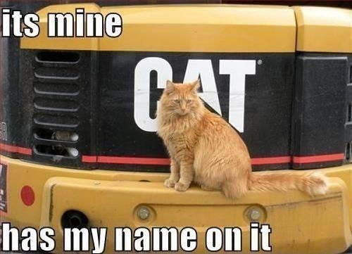 its mine CAT has my name on it