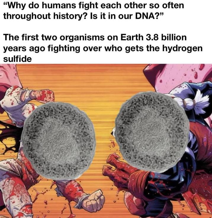 "Why do humans fight each other so often throughout history? Is it in our DNA?" The first two organisms on Earth 3.8 billion years ago fighting over who gets the hydrogen sulfide