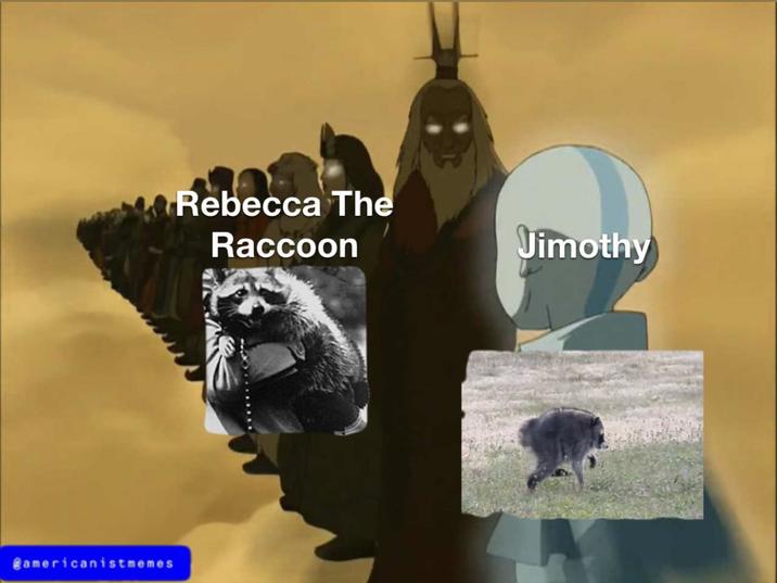 @americanistmemes Rebecca The Raccoon Jimothy