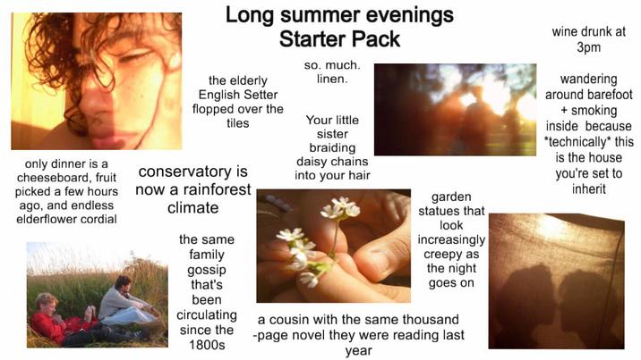 only dinner is a cheeseboard, fruit picked a few hours ago, and endless elderflower cordial Long summer evenings Starter Pack the elderly English Setter flopped over the tiles conservatory is now a rainforest climate the same family gossip that's been circulating since the 1800s so. much. linen. Your little sister braiding daisy chains into your hair garden statues that look increasingly creepy as the night goes on a cousin with the same thousand -page novel they were reading last year wine drunk at 3pm wandering around barefoot + smoking inside because *technically* this is the house you're set to inherit