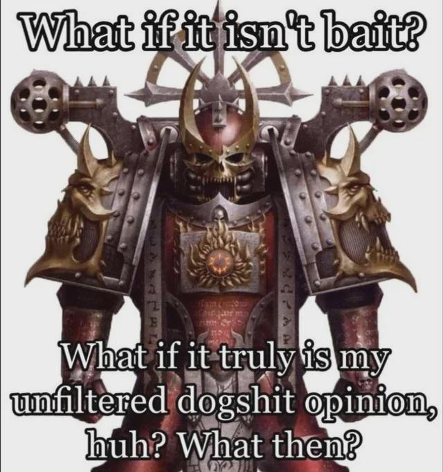 What if it isn't bait? B What if it truly is my unfiltered dogshit opinion, huh? What then?