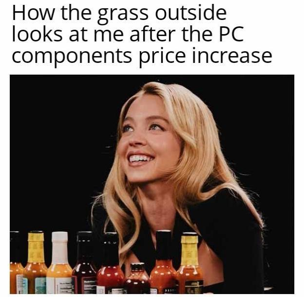 How the grass outside looks at me after the PC components price increase
