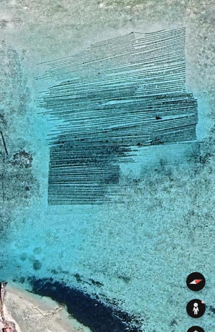 00