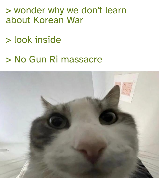 > wonder why we don't learn about Korean War > look inside > No Gun Ri massacre