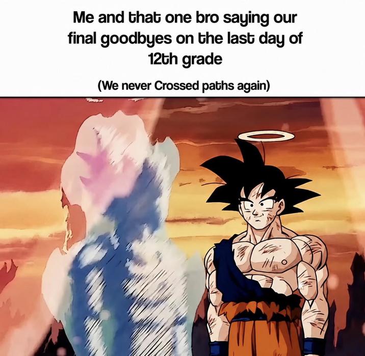 Me and that one bro saying our final goodbyes on the last day of 12th grade (We never Crossed paths again)