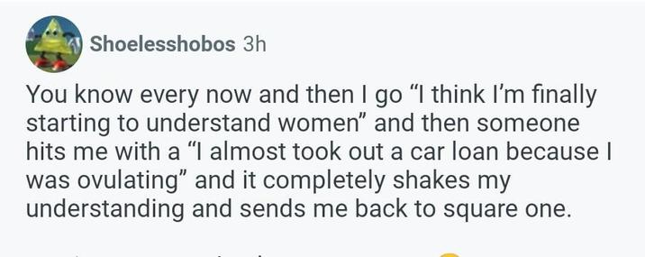 Shoelesshobos 3h You know every now and then I go “I think I'm finally starting to understand women" and then someone hits me with a "I almost took out a car loan because I was ovulating” and it completely shakes my understanding and sends me back to square one.