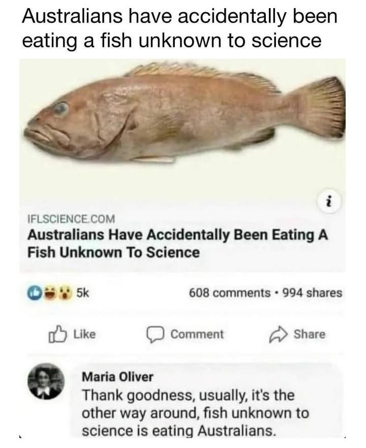 Australians have accidentally been eating a fish unknown to science IFLSCIENCE.COM Australians Have Accidentally Been Eating A Fish Unknown To Science 05k Like i 608 comments 994 shares Comment Share Maria Oliver Thank goodness, usually, it's the other way around, fish unknown to science is eating Australians.