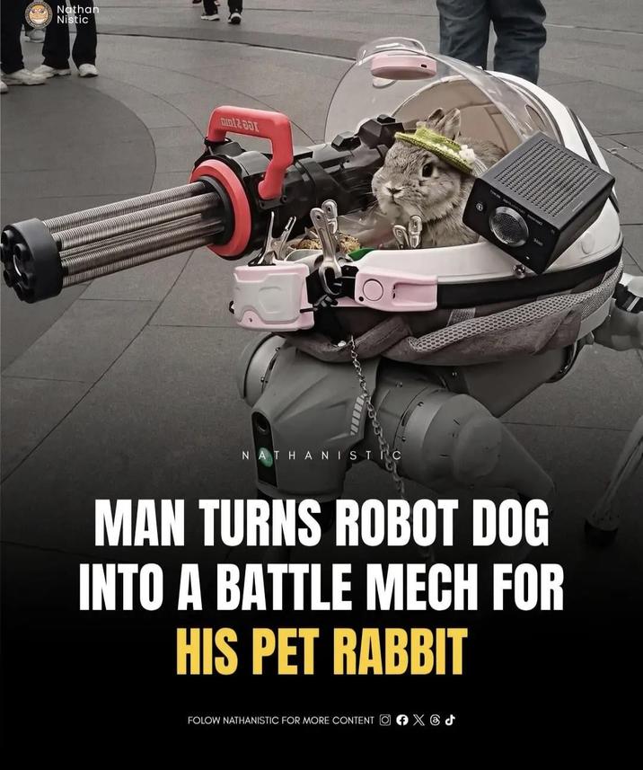 Nathan Nistic D NATHANISTIC Twe MAN TURNS ROBOT DOG INTO A BATTLE MECH FOR HIS PET RABBIT FOLOW NATHANISTIC FOR MORE CONTENT