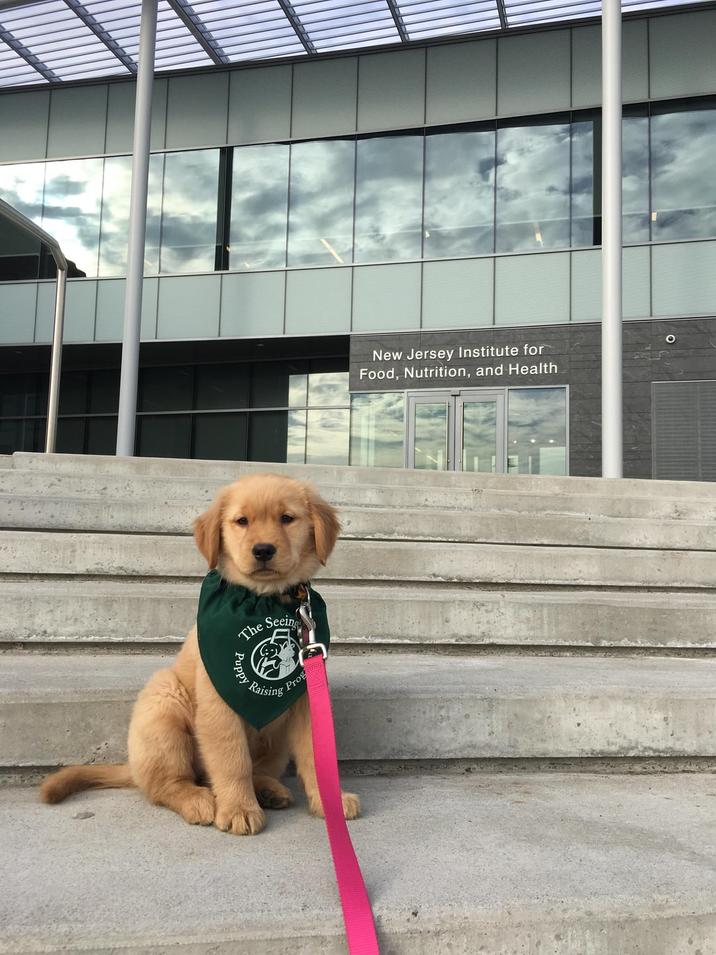 The Seein Raising Puppy Rais Prog New Jersey Institute for Food, Nutrition, and Health O
