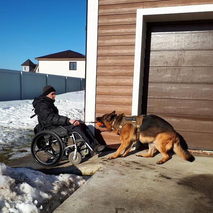 SERVICE DOG