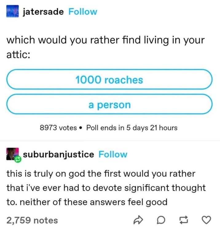 jatersade Follow which would you rather find living in your attic: 1000 roaches a person 8973 votes Poll ends in 5 days 21 hours suburbanjustice Follow this is truly on god the first would you rather that i've ever had to devote significant thought to. neither of these answers feel good 2,759 notes D D