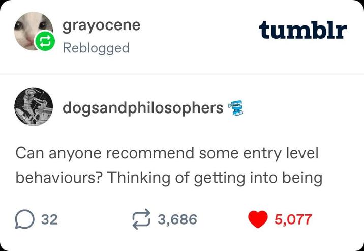grayocene Reblogged tumblr dogsandphilosophers Can anyone recommend some entry level behaviours? Thinking of getting into being ☐ 32 ☑3,686 5,077
