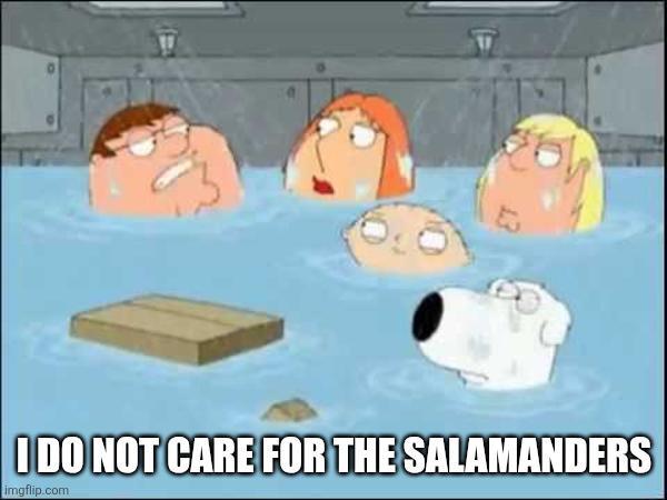 I DO NOT CARE FOR THE SALAMANDERS imgflip.com