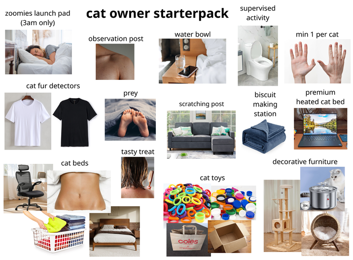 zoomies launch pad (3am only) cat fur detectors cat beds dreamstime cat owner starterpack water bowl observation post Adobe Stoc prey dobe Stock Adobe Stock stock Adobe Sk obe S tasty treat coles coles.com.au Made from 100% recycled paper supervised activity min 1 per cat biscuit premium heated cat bed scratching post making station cat toys decorative furniture 304