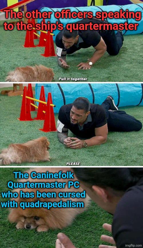 The other officers speaking to the ship's quartermaster Pull it together PLEASE The Caninefolk Quartermaster PC who has been cursed with quadrapedalism imgflip.com