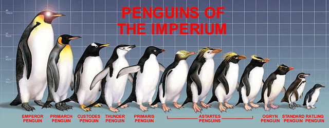 PENGUINS OF THE IMPERIUM EMPEROR PENGUIN PRIMARCH CUSTODES THUNDER PENGUIN PENGUIN PENGUIN PRIMARIS PENGUIN ASTARTES PENGUINS OGRYN STANDARD RATLING PENGUIN PENGUIN PENGUIN