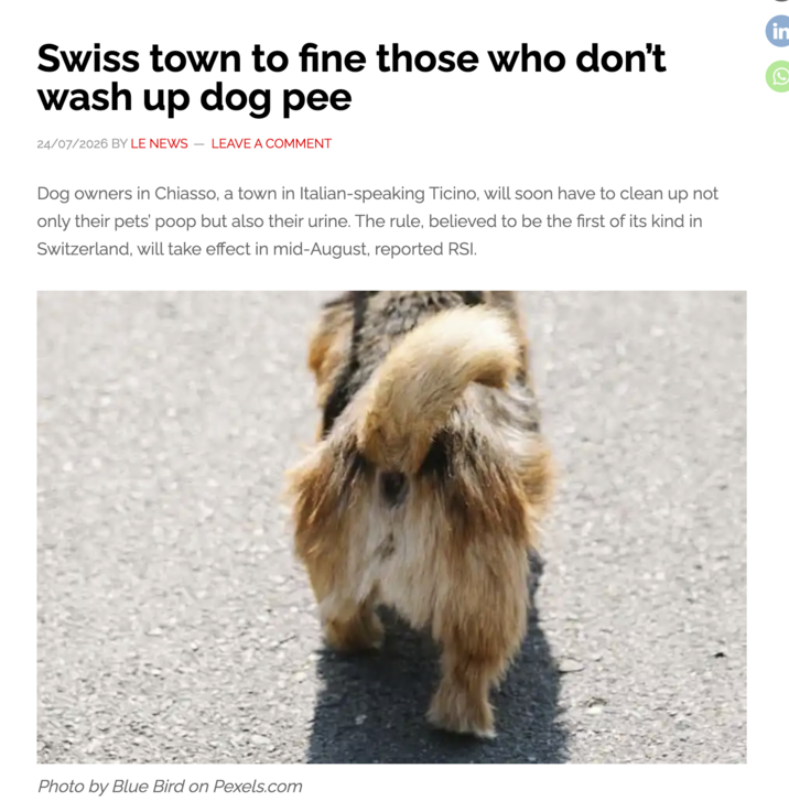 Swiss town to fine those who don't wash up dog pee 24/07/2026 BY LE NEWS LEAVE A COMMENT Dog owners in Chiasso, a town in Italian-speaking Ticino, will soon have to clean up not only their pets' ut also their urine. The rule, believed to be the first of its kind in Switzerland, will take effect in mid-August, reported RSI. Photo by Blue Bird on Pexels.com in
