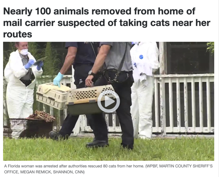 Nearly 100 animals removed from home of mail carrier suspected of taking cats near her routes A Florida woman was arrested after authorities rescued 80 cats from her home. (WPBF, MARTIN COUNTY SHERIFF'S OFFICE, MEGAN REMICK, SHANNON, CNN)