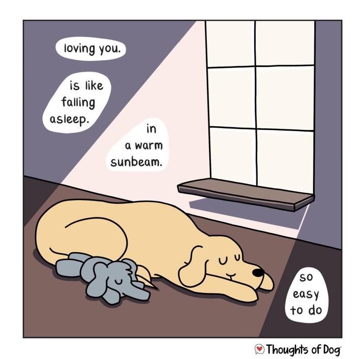 loving you. is like falling asleep. in a warm sunbeam. So easy to do Thoughts of Dog