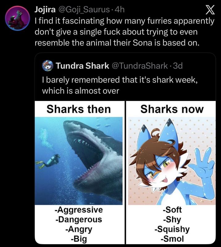Jojira @Goji_Saurus. 4h X I find it fascinating how many furries apparently don't give a single f--- about trying to even resemble the animal their Sona is based on. Tundra Shark @TundraShark • 3d I barely remembered that it's shark week, which is almost over Sharks then Sharks now -Aggressive -Dangerous -Soft -Shy -Angry -Big -Squishy -Smol