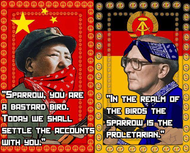 443 A "SPARROW, YOU ARE A BASTARD BIRD. TODAY WE SHALL SETTLE THE ACCOUNTS WITH YOU." "IN THE REALM OF THE BIRDS THE SPARROW IS THE PROLETARIAN."