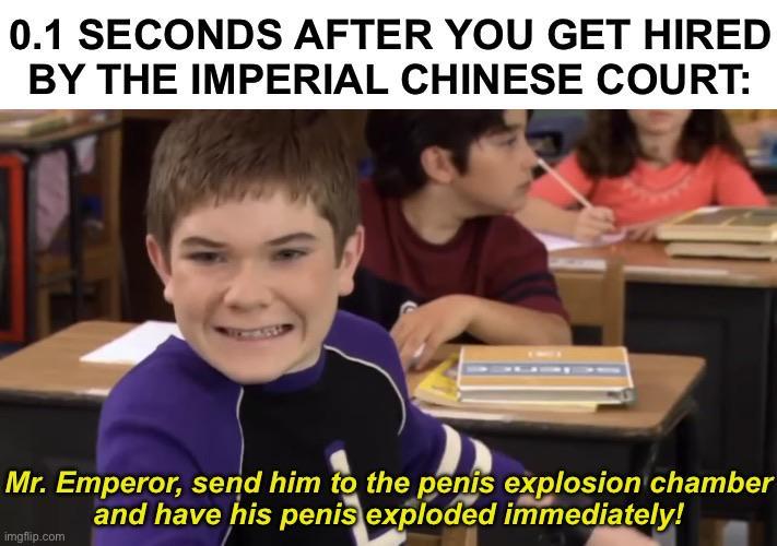 0.1 SECONDS AFTER YOU GET HIRED BY THE IMPERIAL CHINESE COURT: Mr. Emperor, send him to the penis explosion chamber and have his penis exploded immediately! imgflip.com