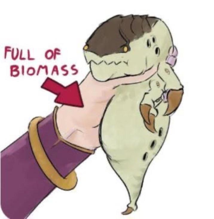 FULL OF BIOMASS