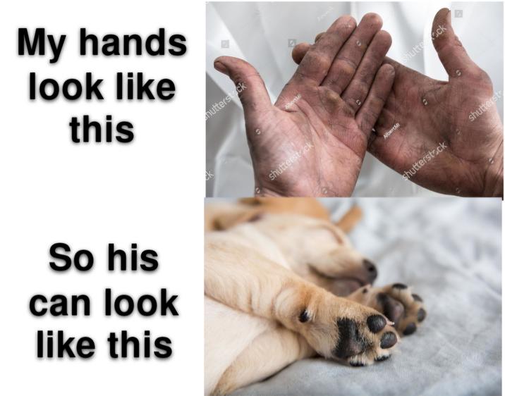 My hands look like this So his can look like this K nutterstock shutterstock Albert AURTUM Albert shutters eck shutterstock shutterst