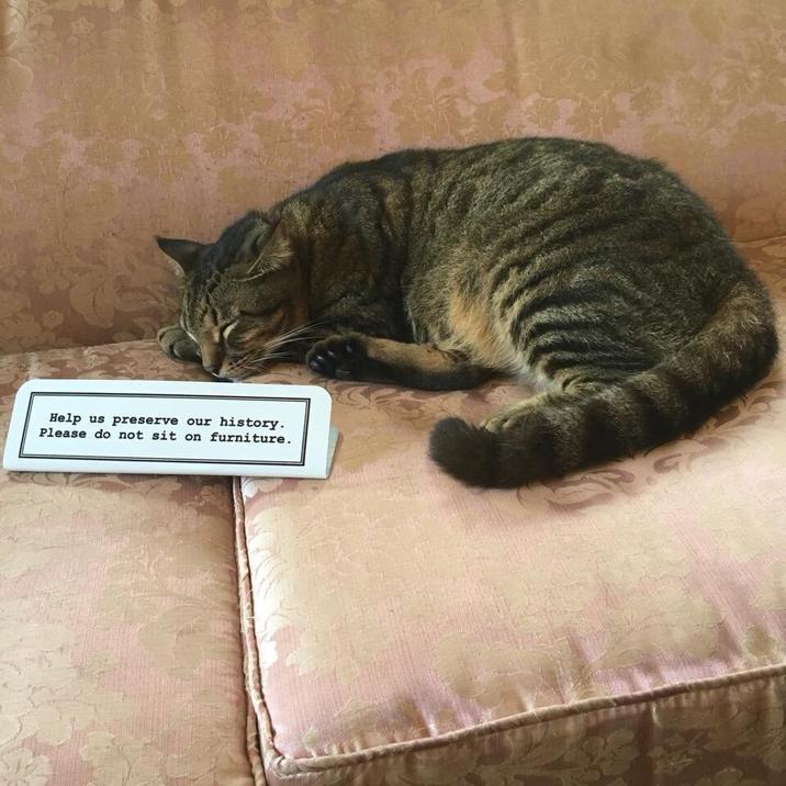 Help us preserve our history. Please do not sit on furniture.