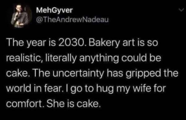 MehGyver @TheAndrewNadeau The year is 2030. Bakery art is so realistic, literally anything could be cake. The uncertainty has gripped the world in fear. I go to hug my wife for comfort. She is cake.