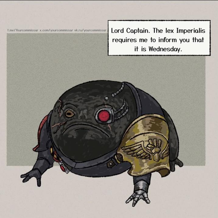 t.me/Yourcommissar x.com/yourcommissar vk.ru/yourcommissar Lord Captain. The lex Imperialis requires me to inform you that it is Wednesday.