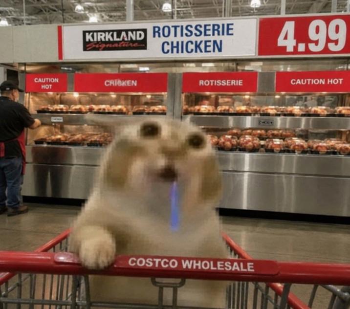 KIRKLAND ROTISSERIE ignature CHICKEN CAUTION CHICKEN HOT 4.99 ROTISSERIE CAUTION HOT COSTCO WHOLESALE
