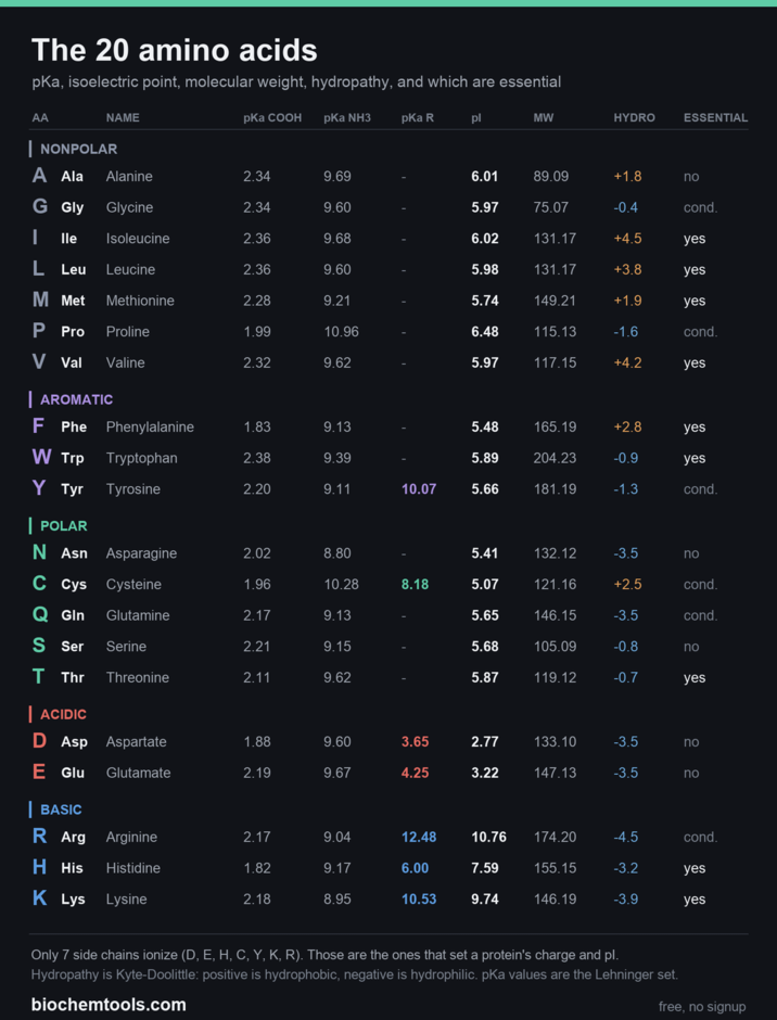 The 20 amino acids pka, isoelectric point, molecular weight, hydropathy, and which are essential AA NAME pKa COOH pKa NH3 pKa R pl MW HYDRO ESSENTIAL | NONPOLAR A Ala Alanine 2.34 9.69 6.01 89.09 +1.8 10 no G Gly Glycine 2.34 9.60 5.97 75.07 -0.4 cond. lle Isoleucine 2.36 9.68 6.02 131.17 +4.5 yes L Leu Leucine 2.36 9.60 5.98 131.17 +3.8 yes M Met Methionine 2.28 9.21 5.74 149.21 +1.9 yes P Pro Proline 1.99 10.96 6.48 115.13 -1.6 cond. V Val Valine 2.32 9.62 . . 5.97 117.15 +4.2 yes | AROMATIC F Phe Phenylalanine 1.83 9.13 5.48 165.19 +2.8 yes W Trp Tryptophan 2.38 9.39 5.89 204.23 -0.9 yes Y Tyr Tyrosine 2.20 9.11 10.07 5.66 181.19 -1.3 cond. | POLAR N Asn Asparagine 2.02 8.80 5.41 132.12 -3.5 no C Cys Cysteine 1.96 10.28 8.18 5.07 121.16 +2.5 cond. Q Gln Glutamine 2.17 9.13 5.65 146.15 -3.5 cond. S Ser Serine 2.21 9.15 5.68 105.09 -0.8 no T Thr Threonine 2.11 9.62 5.87 119.12 -0.7 yes | ACIDIC D Asp Aspartate 1.88 9.60 3.65 2.77 133.10 -3.5 no E Glu Glutamate 2.19 9.67 4.25 3.22 147.13 -3.5 은은 no | BASIC R Arg Arginine 2.17 9.04 12.48 10.76 174.20 -4.5 cond. H His Histidine 1.82 9.17 6.00 7.59 155.15 -3.2 yes K Lys Lysine 2.18 8.95 10.53 9.74 146.19 -3.9 yes Only 7 side chains ionize (D, E, H, C, Y, K, R). Those are the ones that set a protein's charge and pl. Hydropathy is Kyte-Doolittle: positive is hydrophobic, negative is hydrophilic. pKa values are the Lehninger set. biochemtools.com free, no signup