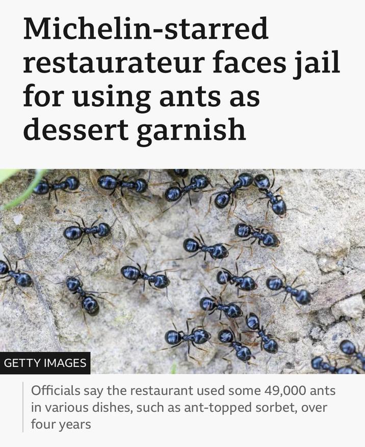 Michelin-starred restaurateur faces jail for using ants as dessert garnish GETTY IMAGES Officials say the restaurant used some 49,000 ants in various dishes, such as ant-topped sorbet, over four years