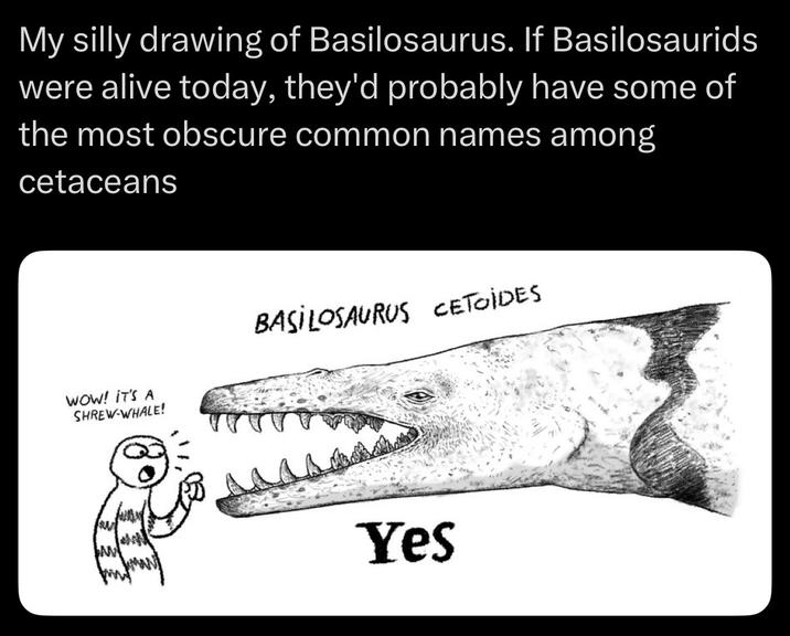 My silly drawing of Basilosaurus. If Basilosaurids were alive today, they'd probably have some of the most obscure common names among cetaceans WOW! IT'S A SHREW-WHALE! BASILOSAURUS CETOÏDES Yes