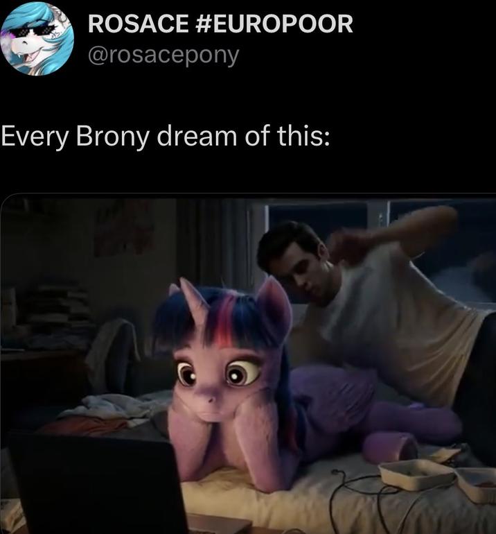 ROSACE #EUROPOOR @rosacepony Every Brony dream of this: 值
