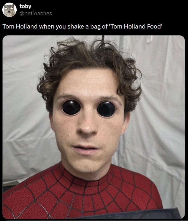 toby @petloaches Tom Holland when you shake a bag of 'Tom Holland Food'