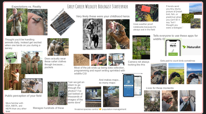 Expectations vs. Reality Thought you'd be handling animals daily, instead get excited when one lands on you during a survey Public perception of your field More familiar with ESA, MBTA, and NEPA than any other laws *hissing noises* EARLY CAREER WILDLIFE BIOLOGIST STARTERPACK Very likely these were your childhood heros Uses weather proof notebooks because it's always wet in the field Friends send you tiny, blurry picture of [insert bird, fish, or plant] but when you can't ID it say "but I thought you were a biologist." Tells everyone to use these apps for wildlife ID Does actually wear these safari clothes though because... pockets Most of the job ends up being data collection, programming and report writing sprinkled with wildlife CSI Manages hundreds of these "can we get an And makes maps... so many maps intern to go through the photos? I've just looked at thousands of images of the same dove" Invasive species control population management Merlin iNaturalist Camera roll always looking like this Gets paid to count birds sometimes Lives for these moments: