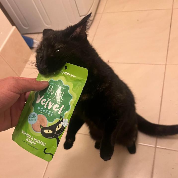 potato free SILKY SMOOTH Tik t LUAU Velvet поп MOUSSE Cat Food/Rare Paur Chats GMO INGREDIENTS WITH TUNA&MACKEREL IN BROTH Nat Wt. 2.8 oz. (Poids Net 80g)