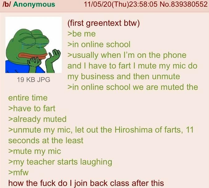 /b/ Anonymous 19 KB JPG entire time >have to fart >already muted 11/05/20(Thu)23:58:05 No.839380552 (first greentext btw) >be me >in online school >usually when I'm on the phone and I have to fart I mute my mic do my business and then unmute >in online school we are muted the >unmute my mic, let out the Hiroshima of farts, 11 seconds at the least >mute my mic >my teacher starts laughing >mfw how the f--- do I join back class after this
