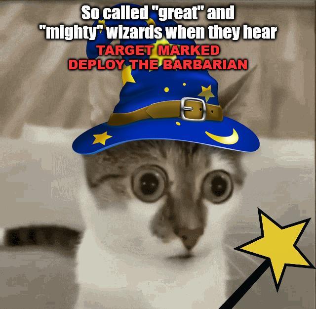 So called "great" and "mighty" wizards when they hear TARGET MARKED DEPLOY THE BARBARIAN